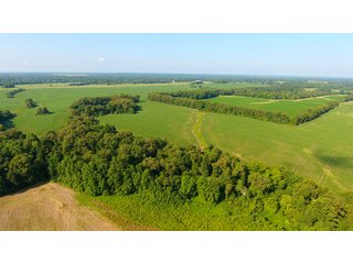 TRACT 21 - ILLINOIS LAND AUCTION - 4,810+/- ACRES OFFERED IN 85 TRACTS IN FRANKLIN, WILLIAMSON, HAMILTON & SALINE COUNTIES, ILLINOIS